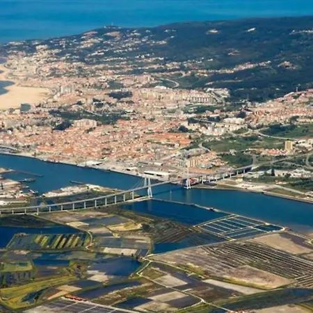 Cozy At The Center * 菲盖拉-达福什